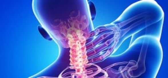 Neck bone and chondropathy